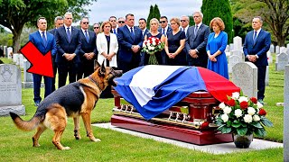 Le Chien Aboie Furieusement Devant le Cercueil de son Maître Quand Ils lOuvrent la Foule Crie [upl. by Nerrat]