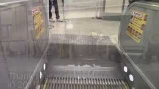 Wynyard Station Wooden OTIS Escalators York Street Entrance Sydney NSW Australia [upl. by Gary]