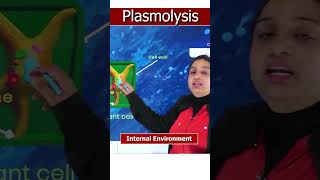 Plasmolysis 3danimation neet scientificanimation 3d science [upl. by Asyle]