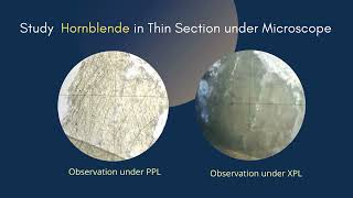 Hornblende Thin section under microscope  Amphibole cleavage Pleochroism  Optical Mineralogy [upl. by Ennairod]