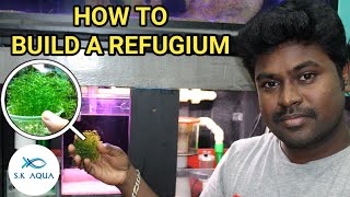 How to Set Up a Refugium Harvesting Macroalgae To Reduce No3 amp Po4 Tamil  SK Aqua  SK Aquatic [upl. by Cornela]