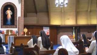 CHAPLET OF DIVINE MERCY CHANTED [upl. by Refanej]