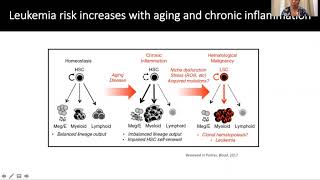 Sphingosine1phosphate signaling modulation for the treatment of acute myeloid leukemia AML [upl. by Tamara]