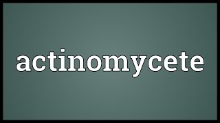 Actinomycete Meaning [upl. by Jarret692]