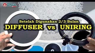 Diffuser VS Uniring Setelah Digunakan 2 sd 3 Bulan di Kolam Bioflok [upl. by Cummings238]