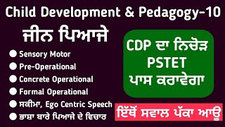 Jean piaget theory in Punjabi Class 10  pstet child development and psychology  Study Fighters [upl. by Geier508]