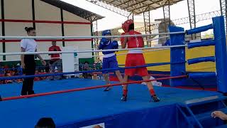 guayas Vs chimborazo box [upl. by Imak]