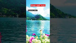 Stress relief music relaxingmusic pianomusicforstressrelief meditationmusic nature [upl. by Cox736]