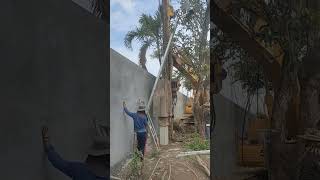 Wall construction piling careful excavator [upl. by Anatole]