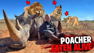 This Rhino Poacher Was EATEN ALIVE By Pride of LIONS [upl. by Melquist245]