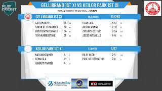 Gellibrand 1st XI v Keilor Park 1st XI [upl. by Jaehne]