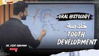 tooth development كامل  oral histology  عزت شومان [upl. by Humberto896]