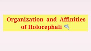 Holocephali  General character  Organisation and Affinities of Holocephali in Hindi amp English [upl. by Asirram]