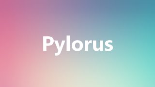 Pylorus  Medical Definition and Pronunciation [upl. by Nevile]