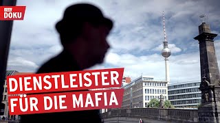 Das StrohmannKartell  Dienstleister für die Mafia  Reportage [upl. by Macfarlane]