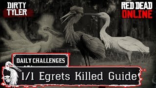 Egret Locations RDR2 Daily Challenges Hunting Guide Red Dead Online [upl. by Lohman180]