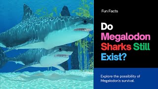 12 Reasons the Megalodon Shark May Still Exist [upl. by Notsecnirp]