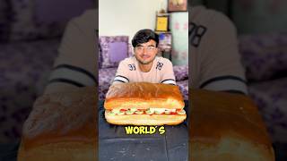 I Made The Biggest Sandwich [upl. by Jacobina]