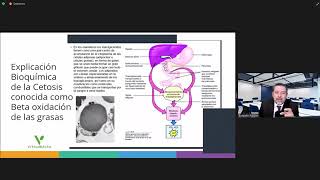 CETONAS Cetosis y algo mas alternativas para el control de peso [upl. by Ydissac]