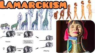 LamarckismPreDarwinian theory of evolutionAnthropologyInsightsforUPSCNET [upl. by Yarod734]