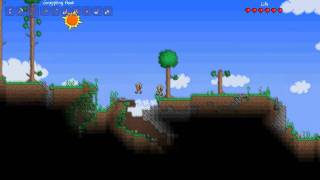 G Terraria Coop 4  Transplante de córnea pó da salvaçao e bolas do mal [upl. by Hurlee32]