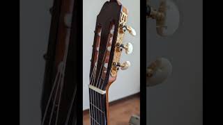 Kodaira ast 150 mới giá 20 triệu guitar [upl. by Scotney140]