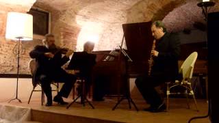 J K Vanhal Trio for violin clarinet and fortepiano [upl. by Kimmie]