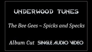 The Bee Gees  Spicks and Specks  1966  Single Audio Video [upl. by Ikin904]