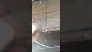 Chevrolet beat AC filter change auto mechanic [upl. by Zeeba]