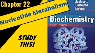 Lippincotts Biochemistry Review Chapter 22 Nucleotide metabolism  Study This [upl. by Silma]