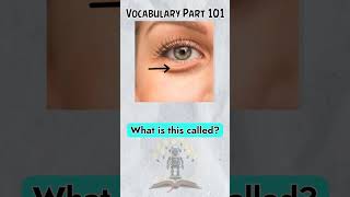 Learn the English Names of Small Body Parts 👂👃  Expand Your BodyVocabulary englishvocabulary quiz [upl. by Inaffets]