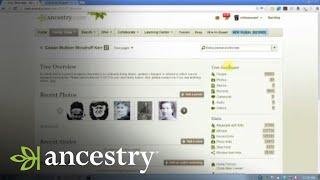 Correcting Mistakes in Your Own Family Tree  Ancestry [upl. by Tdnarb]