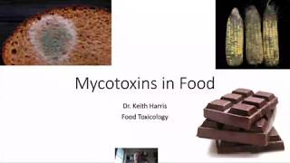 9 Mycotoxins in Food [upl. by Justine84]