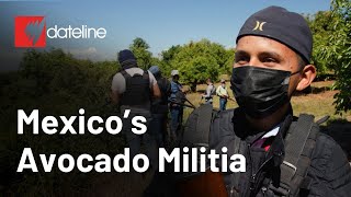 Mexicos Avocado Militia  SBS Dateline [upl. by Anitserp]