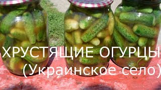 ОГУРЦЫ СО ВКУСОМ ДОЖДЯ И ГРОМА  ХРУСТЯЩИЕ И САМЫ ВКУСНЫЕ ОГУРЦЫ НА ЗИМУ [upl. by Nadnal715]