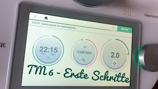 Thermomix TM6  Erste Schritte und Fruchteis herstellen [upl. by Sachi]