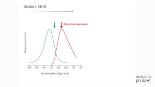 Molecular Probes Tutorial Series— Anatomy of Fluorescence Spectra [upl. by Dorolice]