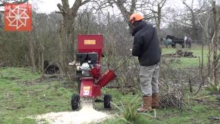 Chipper Shredder Garden Mulcher 15Hp from Titan Pro [upl. by Eelasor466]