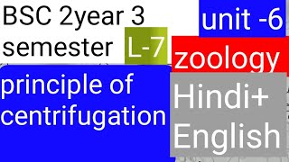 BSC 2nd year 3 semester zoology topic principle of centrifugation HindiEnglish [upl. by Aeneus]