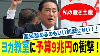 9兆円支出とSDGs・外国人支援の真実！財務省の隠された思惑 [upl. by Ainatit424]