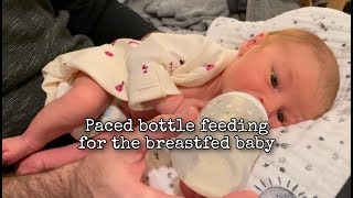 Paced bottle feeding for the breast fed baby [upl. by Acir240]