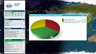 ICAO Aviation Data  Monitor Analyse Plan [upl. by Ahserkal]