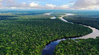 Is The Amazon River On The Brink Of Destruction [upl. by Bissell]