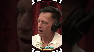 Joe Rogan amp Peter Thiel [upl. by Adnerak]