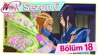 Winx Club  Sezon 6 Bölüm 18  Sihirli Totem TAM BÖLÜM [upl. by Conrad]