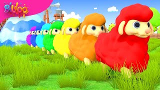 Baa Baa Black Sheep Song  Learning Colors Song  BluLoo Nursery Rhymes amp Kids Songs [upl. by Hindorff738]