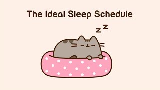 Pusheen The Ideal Sleep Schedule [upl. by Fredric667]