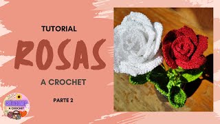 TUTORIAL DE ROSAS A CROCHET PARTE 2 [upl. by Child992]