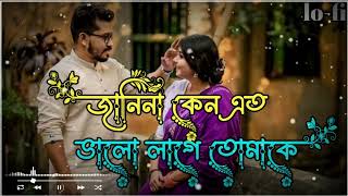 জানি না কেন এত ভালো লাগে তোমাকে॥janina keno eto valo lage tomake॥ Bangla romantic Lofi song 🌼🥰❤️ [upl. by Backer780]