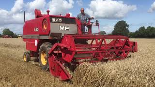 Massey Ferguson 520 Combine Harvester [upl. by Naugal917]